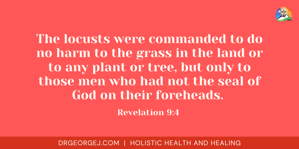 Father, Son, and Holy Spirit... - Daily Devotion