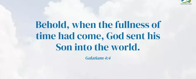 T'was the Night Before Christmas... - Daily Devotion
