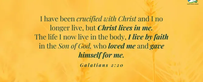 What Sets Us Apart