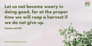 Galatians 6:9 Daily Devotion February 25 2023