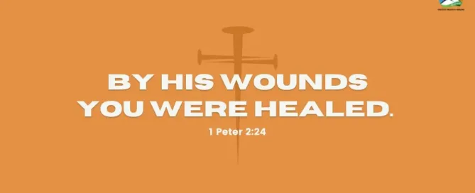 1 Peter 2:24 Daily Devotion Scripture