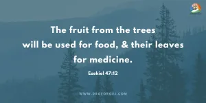 Ezekiel 47:12 Daily Devotion_April 28 2023