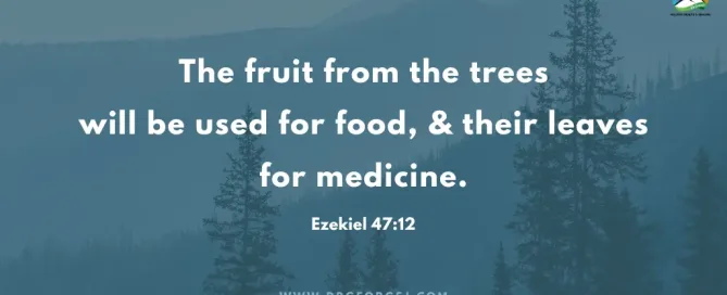 Ezekiel 47:12 Daily Devotion_April 28 2023