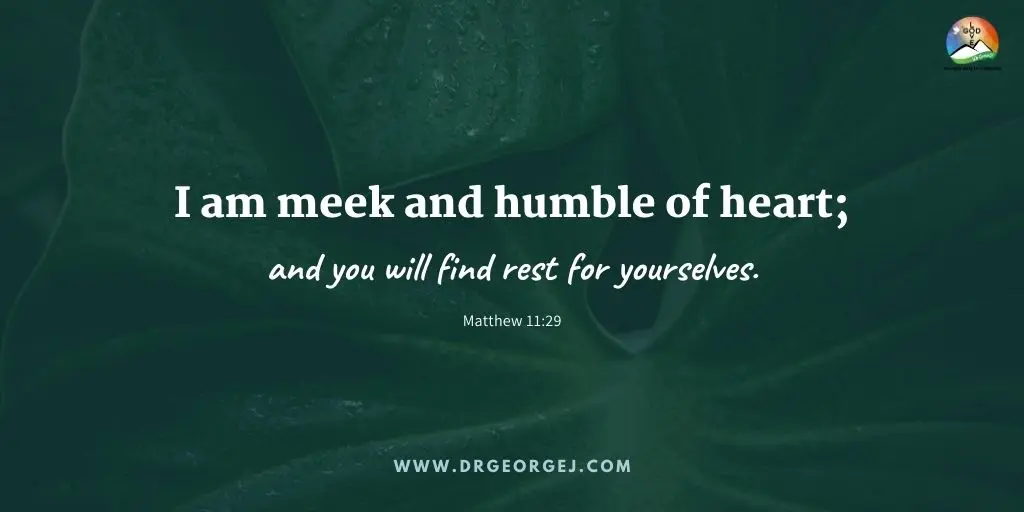 Mathew 11:29 Daily Devotion | July 22 2023