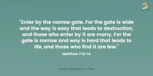 Mathew 7:13-14 Daily Devotion | July 18 2023