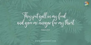 Psalm 69:21 Daily Devotion | July 15 2023