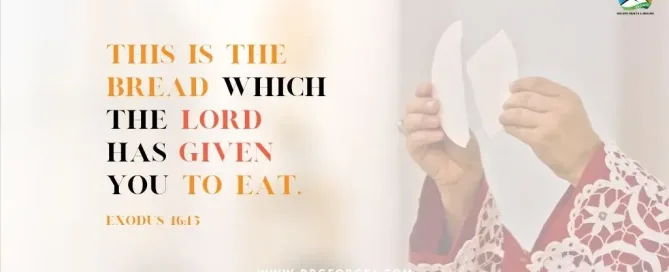 Exodus 16:15 Daily Devotion | August 19 2023