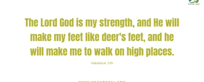 Habakkuk 3:19 Daily Devotion | August 31 2023