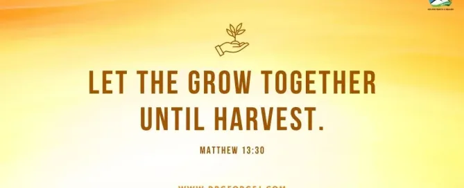 Mathew 13:30 Daily Devotion | August 16 2023