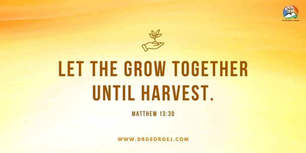 Mathew 13:30 Daily Devotion | August 16 2023