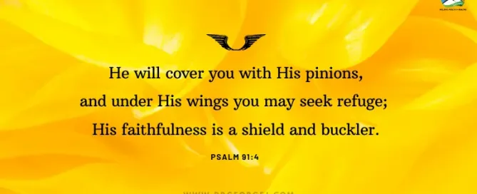 Psalm 91:4 Daily Devotion | August 27 2023