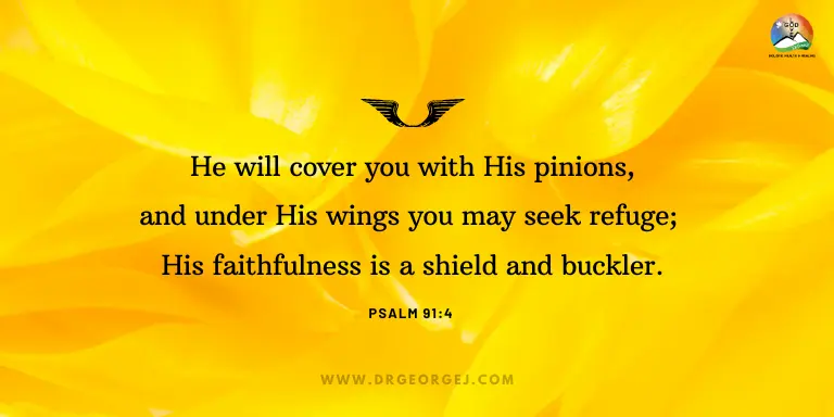 Psalm 91:4 Daily Devotion | August 27 2023