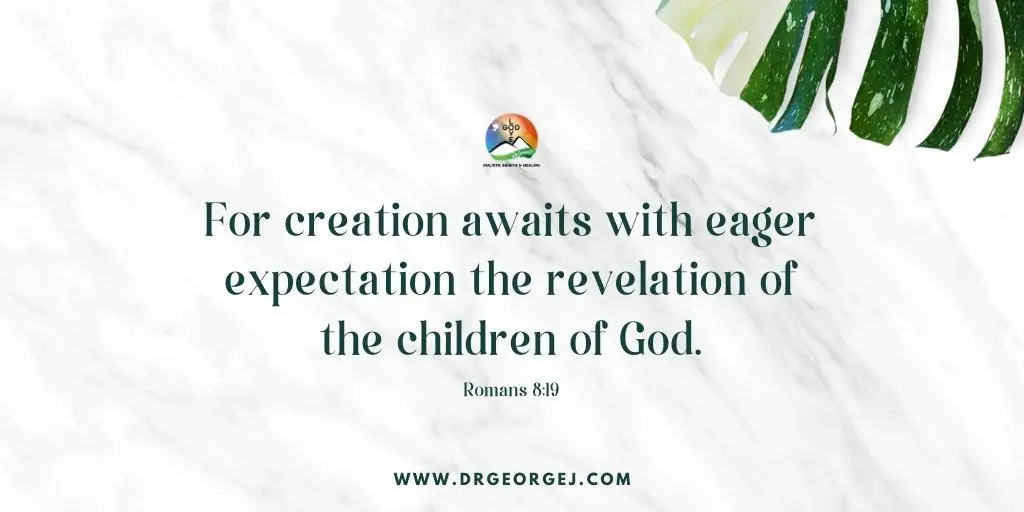 Romans 8:19 Daily Devotion | August 1 2023