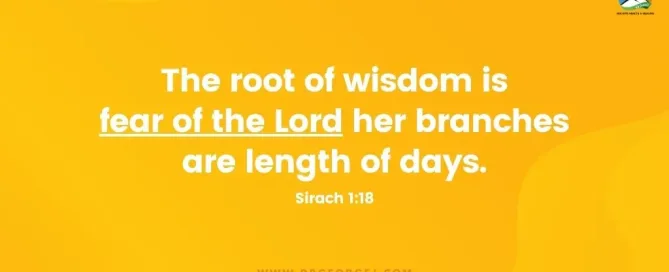 Sirach 1:18 Daily Devotion | August 18 2023