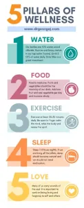 5 Pillars of Wellness Infographic