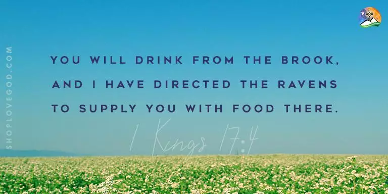 Help Even in Drought - DrGeorgeJ Daily Devotion