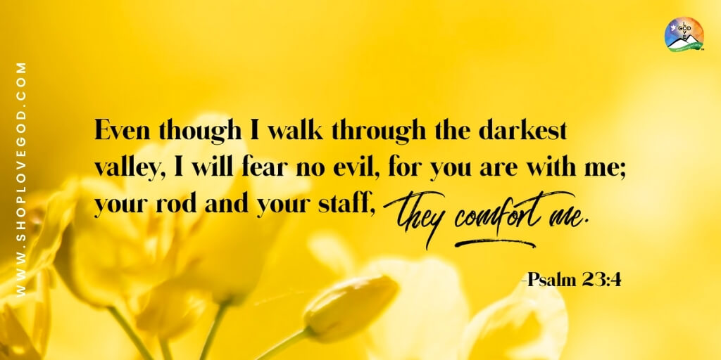 Daily Devotion August 23, 2020
