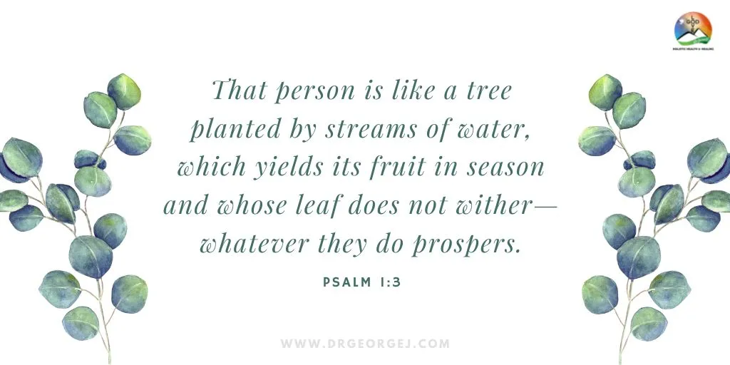 Psalm 1:3 Daily Devotion | March 23, 2023