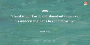 Psalm 147:5 Daily Devotion - May 20 2023