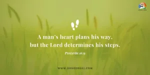 Proverbs 16:9 Daily Devotion - June 20 2023