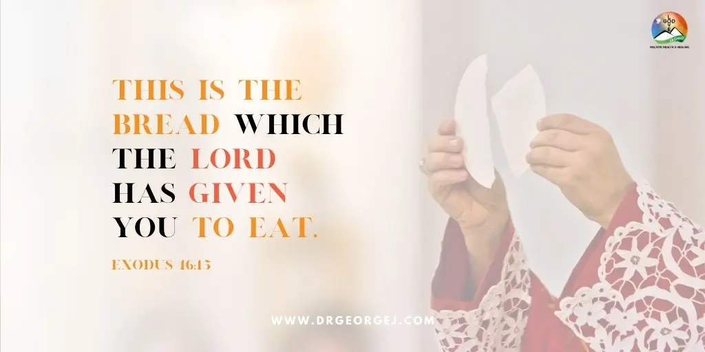 Exodus 16:15 Daily Devotion | August 19 2023